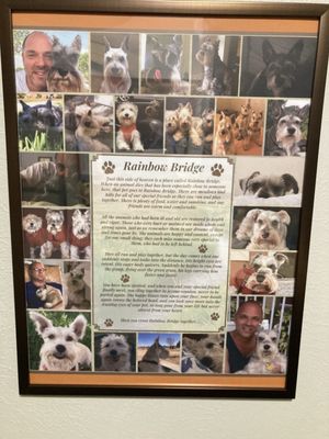 Arden Road Animal Clinic