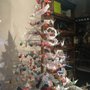 Photo of Eye Q Optometry