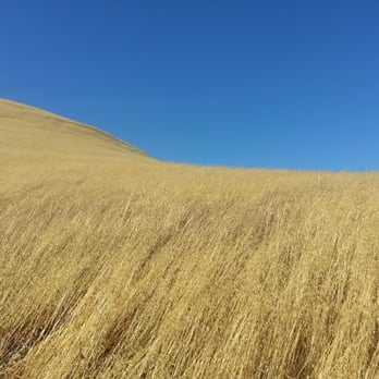 Contra Loma Regional Park - Hills kiss the sky - Parks Near Me - Antioch, California Contra Loma Regional Park - Hills kiss the sky - Parks Near Me - Antioch, California