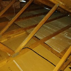 Handyman Rodent Proofing