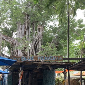 Blue Heaven - Cool Banyan tree - Breakfast & Brunch Near Me - Key West, Florida