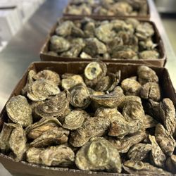 Lockhart's Seafood - Oysters