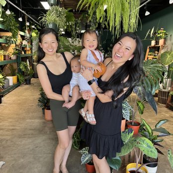 Plantoem - Cafes Near Me - Honolulu, Hawaii