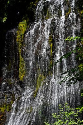 Panther Creek Falls by null