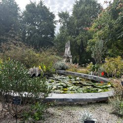 Chelsea Physic Garden