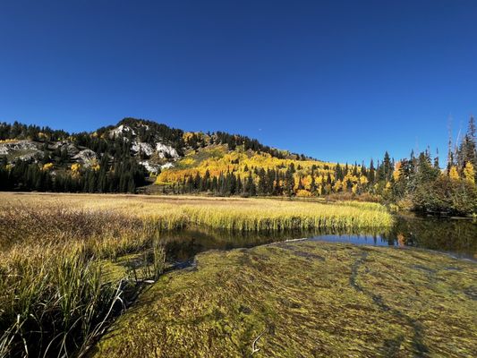 Big Cottonwood Canyon by null
