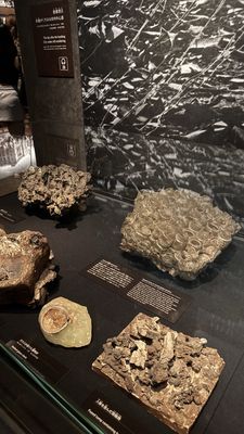 Hiroshima Peace Memorial Museum by null