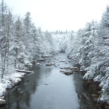 Blackwater Falls State Park - Parkgrounds in the snow - Parks Near Me - Davis, West Virginia