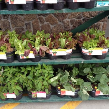 The Home Depot - Nurseries & Gardening Near Me - Bend, Oregon The Home Depot - Nurseries & Gardening Near Me - Bend, Oregon