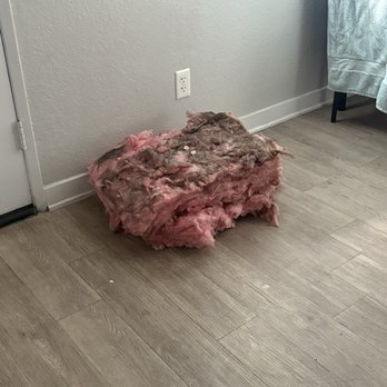 Golden Bee Management - Insulation left on our kitchen floor for a month by maintenance. - Property Management Near Me - Los Angeles, California Golden Bee Management - Insulation left on our kitchen floor for a month by maintenance. - Property Management Near Me - Los Angeles, California