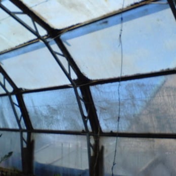 Natureland Seal Sanctuary - Zoos Near Me - Skegness, LIN