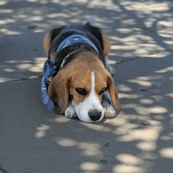 Sunset Park - San Marcos - Resting