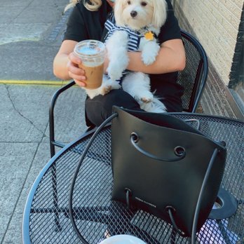 Compass Coffee Downtown - Enjoying a hazelnut vanilla latte with Benny the doggo - Coffee & Tea Near Me - Vancouver, Washington Compass Coffee Downtown - Enjoying a hazelnut vanilla latte with Benny the doggo - Coffee & Tea Near Me - Vancouver, Washington