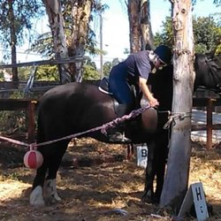 A Stable Named Desire - Having fun and learning at AStable Named Desire.