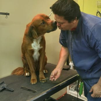 David's Pet Grooming - Stout giving David a kiss. - Pet Groomers Near Me - Lewisville, Texas