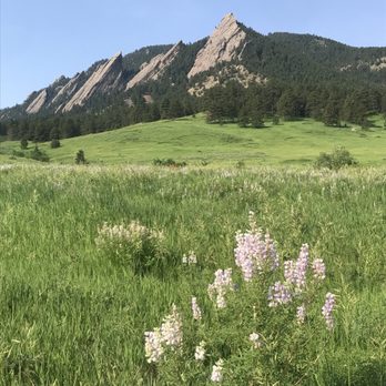 Chautauqua Park - Wonderful time to go!! Mid june - Parks Near Me - Boulder, Colorado