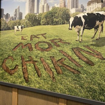 Chick-fil-A - ows cows grazing in a field - Fast Food Near Me - New York, New York Chick-fil-A - ows cows grazing in a field - Fast Food Near Me - New York, New York