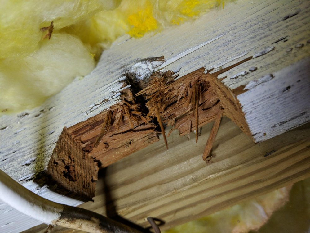 Lee House Inspections - mold inspector in Merrick, NY