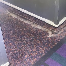 Mold in hallway
