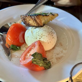 Zeppoli - Special: Burrata - Mediterranean Near Me - Collingswood, New Jersey Zeppoli - Special: Burrata - Mediterranean Near Me - Collingswood, New Jersey