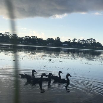 John Prince Campgrounds - Baby bubble ducks - Campgrounds Near Me - Lake Worth, Florida