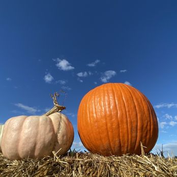 Hoffman Farm Store - Fruits & Veggies Near Me - Beaverton, Oregon