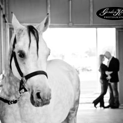 Gordon Kelly Photography