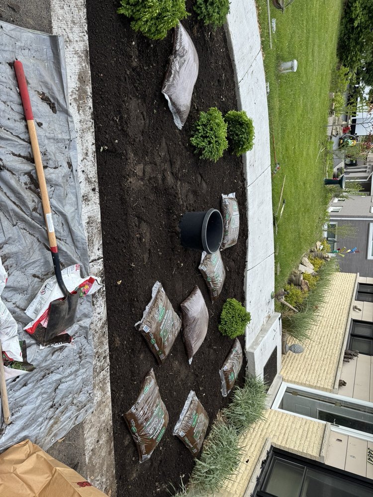 Slide of Trydent Odd Jobs