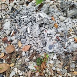 Peaceful Valley Resort & Rv Park - Firepits weren't cleaned out prior to our arrival...but at least you can move the rings and start your own pile of ashes