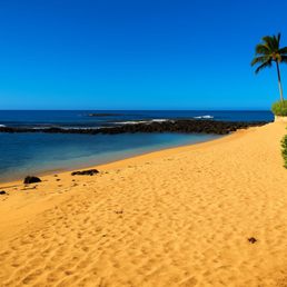 Baby Beach was a perfect spot for novice snorkelers and there were very few people when we arrived.