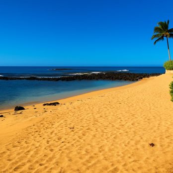 Boss Frog's - Baby Beach was a perfect spot for novice snorkelers and there were very few people when we arrived. - Tours Near Me - Koloa, Hawaii