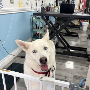 BB Care Pet Grooming - Pet Groomers Near Me - Ontario, California BB Care Pet Grooming - Pet Groomers Near Me - Ontario, California