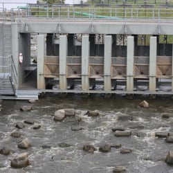Fischaufstiegsanlage