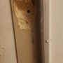 Photo of Doctor Locksmith