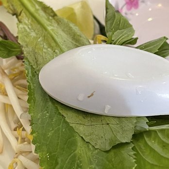 Pho Le Restaurant - Vietnamese Near Me - Boston, Massachusetts