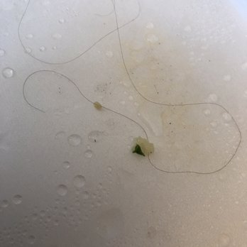 Siraj’s Shawarma - Single strand of hair in my rice. Had to pull this out of my mouth. Yuck. - Mediterranean Near Me - Whittier, California