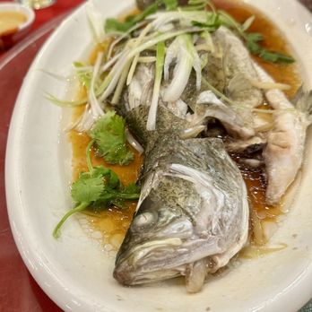 Royal Queen Restaurant - Steamed bass in ginger, green onions, soy sauce - Dim Sum Near Me - Flushing, New York Royal Queen Restaurant - Steamed bass in ginger, green onions, soy sauce - Dim Sum Near Me - Flushing, New York
