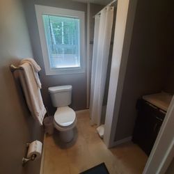 Brimley Motel Suites - Efficiency bathroom.