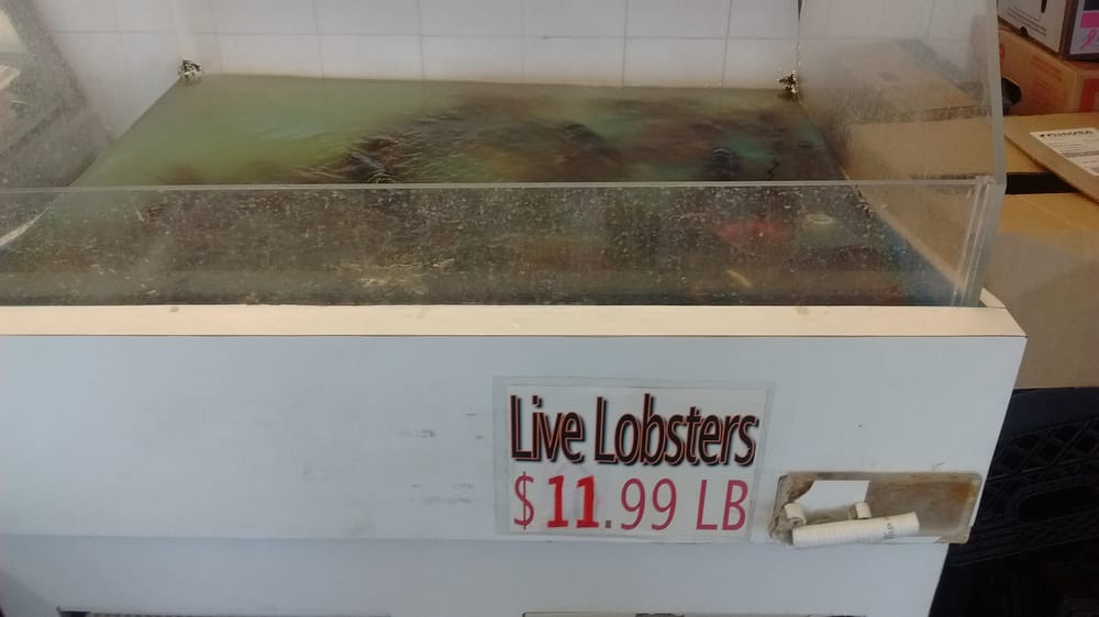 CROSS BAY SEA SHELL FISH MARKET 12 Reviews 16114 Crossbay Blvd