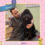 Photo of D'tails Pet Boutique & Spa