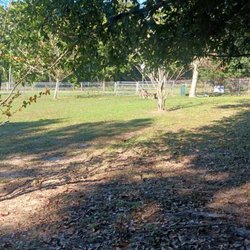 Lonnie G Jones Dog Park - Looking across back home fence line From corner
