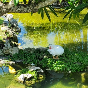 The Level - Beautiful water features - Resorts Near Me - Punta Cana, UM The Level - Beautiful water features - Resorts Near Me - Punta Cana, UM