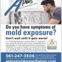Photo of A Plus Mold Remediation