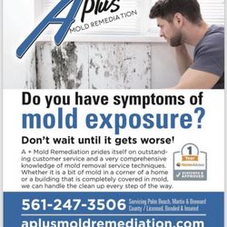 A Plus Mold Remediation