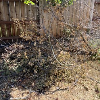 Servant King Junk Removal - BEFORE - Junk Removal & Hauling Near Me Servant King Junk Removal - BEFORE - Junk Removal & Hauling Near Me
