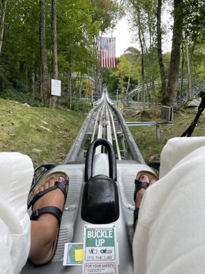 Wilderness Run Alpine Coaster by null