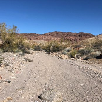 Sara Park - Sandy wash on yellow trail! - Hiking Near Me - Lake Havasu City, Arizona