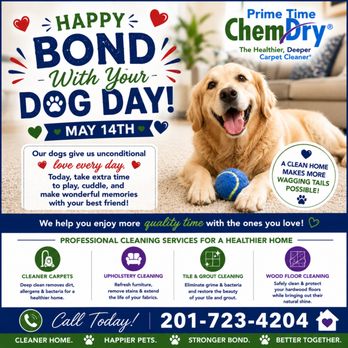 Prime Time Chem-Dry - Prime Time Chem-Dry provides professional carpet cleaning, upholstery cleaning, area rug cleaning and pet urine & odor removal #bergencounty - Carpet Cleaning Near Me - Lyndhurst, New Jersey Prime Time Chem-Dry - Prime Time Chem-Dry provides professional carpet cleaning, upholstery cleaning, area rug cleaning and pet urine & odor removal #bergencounty - Carpet Cleaning Near Me - Lyndhurst, New Jersey