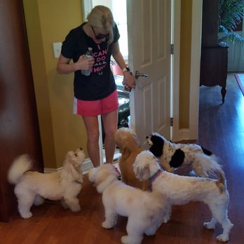 Fetch! Pet Care - Our welcoming committee! From left to right we have Gabbana, Gucci, Bella, Teddy, and Buttons! - Pet Sitting Near Me - Lousville, Kentucky Fetch! Pet Care - Our welcoming committee! From left to right we have Gabbana, Gucci, Bella, Teddy, and Buttons! - Pet Sitting Near Me - Lousville, Kentucky