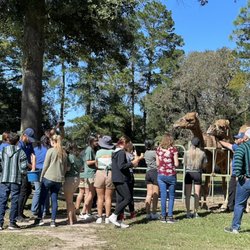 East Texas Elephant Experience